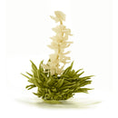 Seitsemän Enkeliä Teeruusuke Vihreä tee Forsman Tee