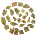 Darjeeling First Flush 2025 Singbuli 1kg Musta tee Forsman Tee